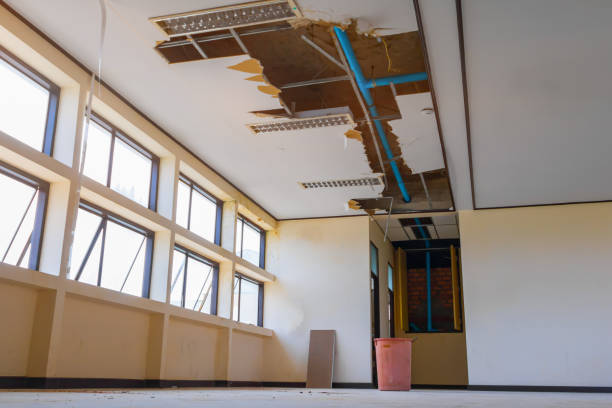 Best Water damage cleanup near me  in Pine Ridge, PA