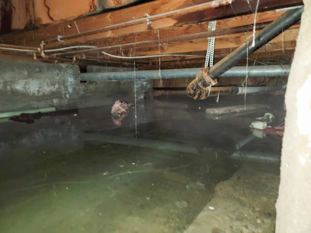 Best Water damage restoration cost  in Pine Ridge, PA