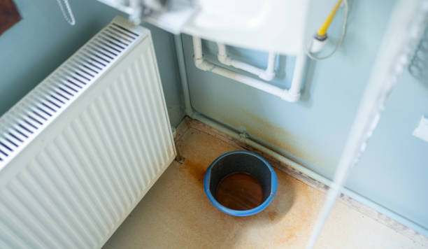 Best Professional water damage repair  in Pine Ridge, PA