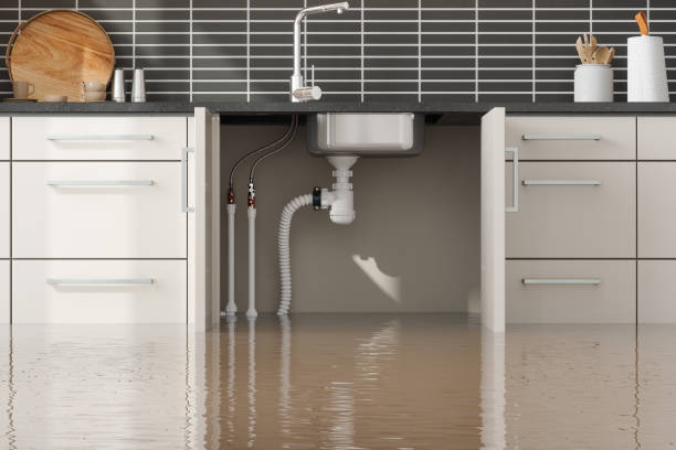 Best Flooded house restoration  in Pine Ridge, PA