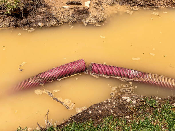 Best Local water damage restoration  in Pine Ridge, PA